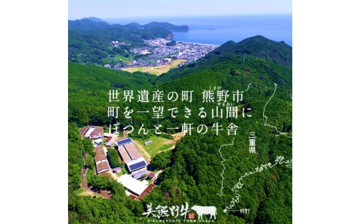 美熊野牛 サーロインステーキ 約300g×1枚 牛肉 肉 ステーキ サーロイン ブランド牛 和牛 黒毛和牛 国産牛 霜降り 霜降り肉 人気 希少 おすすめ 三重県 熊野市【okad0009】