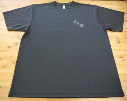 熊野古道Tシャツ【KODOTシャツ・2枚組】ドライメッシュ生地でいつでもさわやか。【kmkn0129】