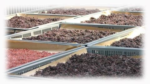 梅干し 熊野乃梅 昔ながらの梅（塩分25％） 500ｇ×3P  しそふりかけ【snby0003】