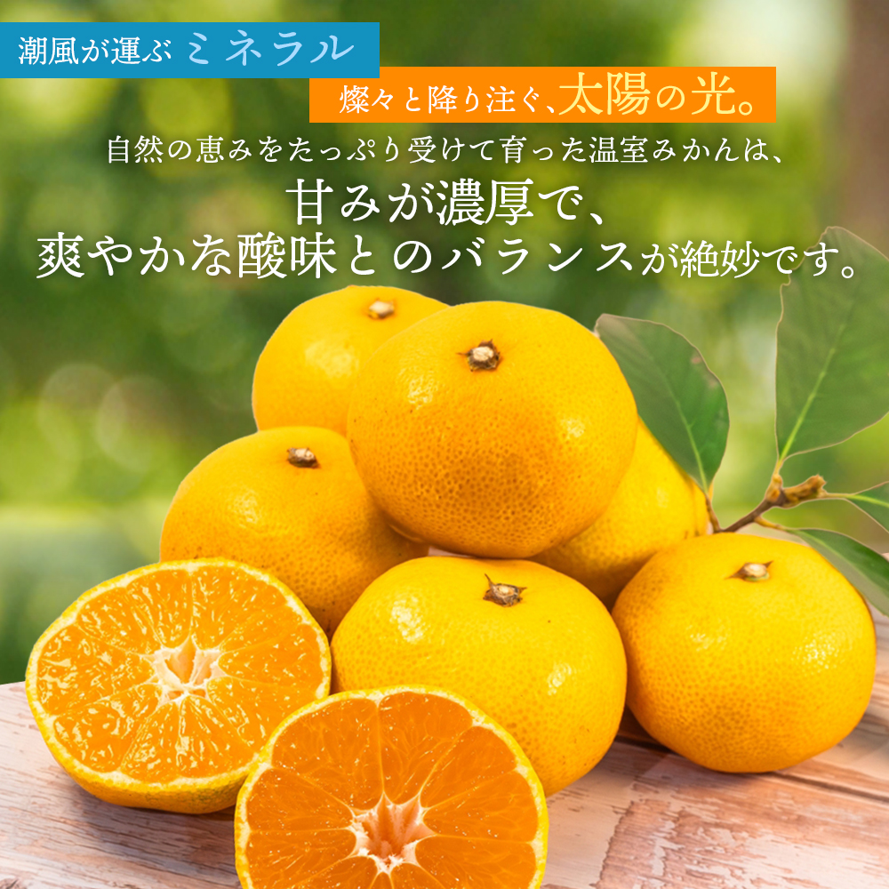 【数量限定】仲森農園の温室みかん 2.5kg 【2026年7月より順次発送予定（お届け日指定不可）】【nkmr0001】