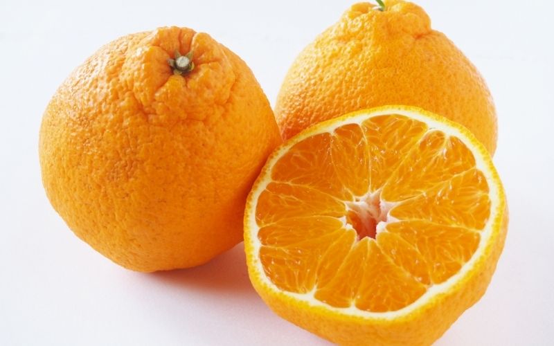 【数量限定】仲森農園の完熟不知火 5kg 【2026年2月～4月頃で順次発送】【nkmr0003】