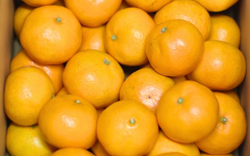 仲森農園の完熟熊野みかん 7kg【11月下旬から12月下旬に発送】みかん ミカン 温州みかん【nkmr0006A】