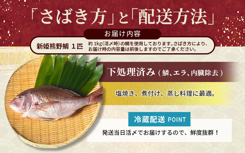 <テレビで紹介されました> 配送日指定可 新姫 熊野鯛 下処理済み 一匹 【冷蔵】 鯛 タイ 刺身 お刺身 さしみ 真空 海鮮 魚介 鮮魚 養殖  寿司 お寿司 塩釜焼き 塩焼き しゃぶしゃぶ 鯛しゃぶ お食い初め お祝い 祝い 水谷水産 三重県 熊野市【mzsi0001-1】
