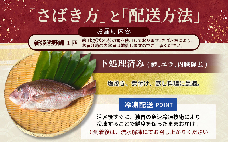 <テレビで紹介されました> 配送日指定可 新姫 熊野鯛 下処理済み 一匹 【冷凍】 鯛 タイ 刺身 お刺身 さしみ 真空 海鮮 魚介 鮮魚 養殖 寿司 お寿司 塩釜焼き 塩焼き しゃぶしゃぶ 鯛しゃぶ お食い初め お祝い 祝い 水谷水産 三重県 熊野市【mzsi0001-2】