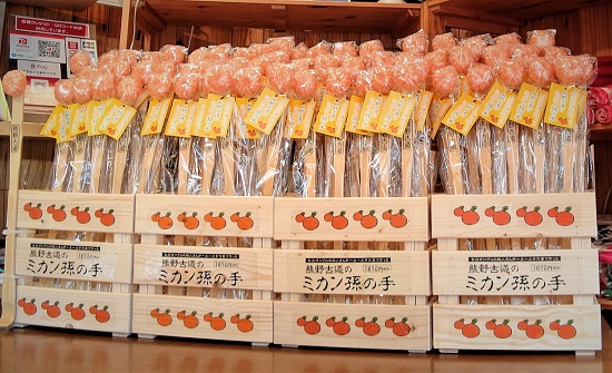 熊野古道の ミカン孫の手 映画「イチケイのカラス」に登場！【mrm0113】