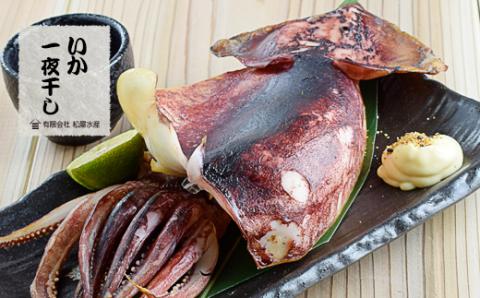 干物 詰め合わせ 6種 16点 干物 ひもの 食べ比べ あじ開き さんま開き かます開き さんまみりん干 さんま丸干 いか一夜干し 松屋水産 三重県熊野市【mtys0002】