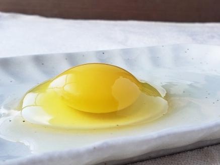 卵 平飼い有精卵 あそぼらん 60個 卵 たまご 玉子 タマゴ 卵焼き 玉子焼き 卵料理【asit0002A】