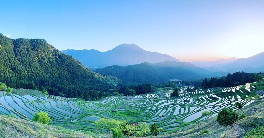 【棚田オーナー】丸山千枚田オーナー会員権（令和７年度）【snmr0001】