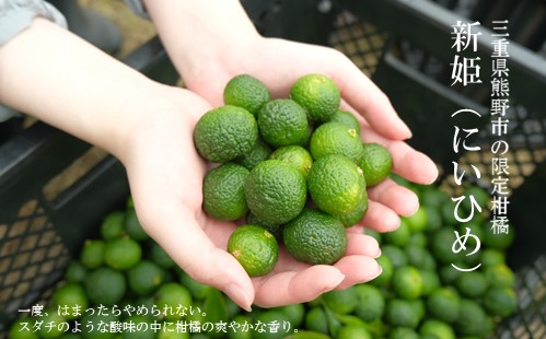 熊野だしを味わう充実セット（だしパック×２、だしつゆ×１、新姫七味ポチ袋タイプ×１）【kmys0008】