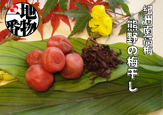 梅干し 無添加 小分けタイプ 昔ながらのすっぱいしそ漬け梅干し　110g×５【frsn0003】