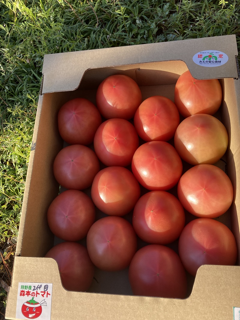 【先行予約】熊野市産 仲良し夫婦の ま～るんトマト 4kg【mrmn0001】