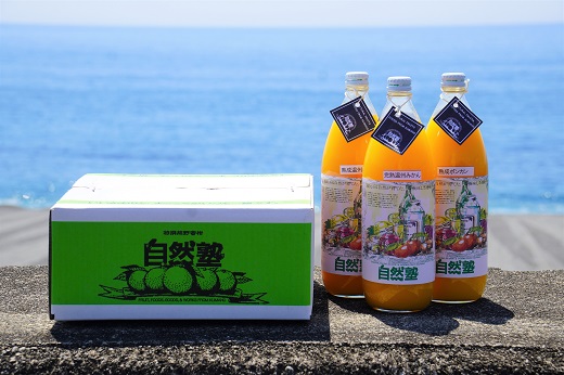 自然塾　柑橘100%まるごと絞りジュース　３本入り　みかんジュース オレンジ ポンカン 不知火 温州 ドリンク 飲料 飲み物 朝食 無添加 季節 旬【szjk0008】