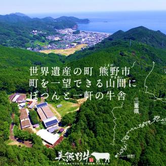 美熊野牛 切り落とし 400g 牛肉 肉 ブランド牛 和牛 黒毛和牛 国産牛 切り落とし 切りおとし 切り落とし牛肉 霜降り 赤身 人気 希少 万能 おすすめ 三重県 熊野市【okad0005】