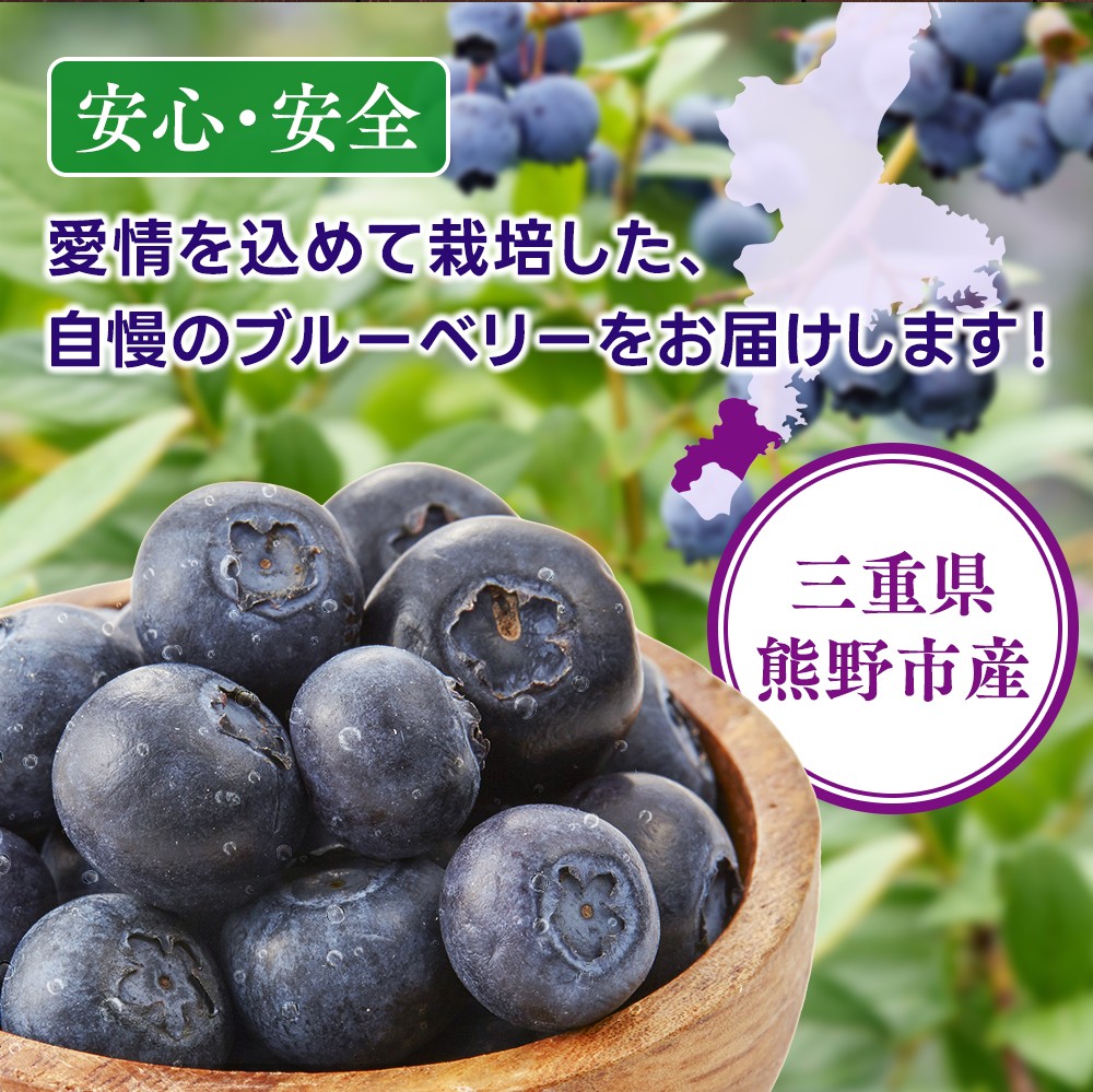 冷凍 ブルーベリー 3kg 急速冷凍 フルーツ 果物 くだもの スムージー ジャム 朝食 デザート 特産品 人気 国産 旬 金山パイロットファーム 三重県 熊野市【knpr0011A】