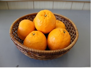 【数量限定】金山パイロットファームの ポンカン 5kg みかん ミカン 蜜柑 柑橘 フルーツ 果物 くだもの 旬 産地直送 三重県 熊野市【knpr0016】