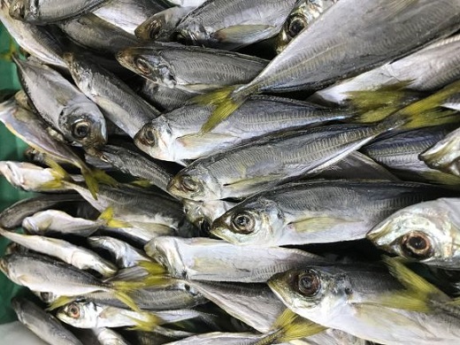 熊野干物詰め合わせ しあわせセット 冷蔵配送【hsuo0001】