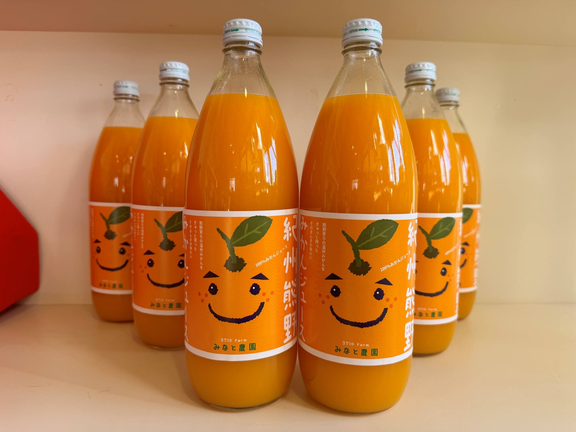 湊農園のみかん搾ったまんま！【紀州熊野みかんジュース】1000ml×6本　段ボール箱【2025年12月以降順次発送予定】【kmkn0089】