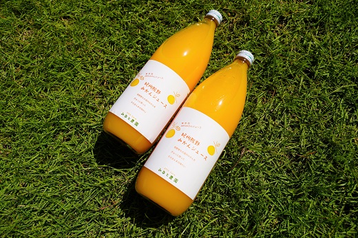 湊農園のみかん搾っただけ！【紀州熊野みかんジュース】1000ml×12本　段ボール箱【2025年12月以降順次発送予定】【kmkn0090】