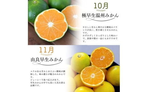 【全5回】仲森農園の柑橘定期便 合計5種 22.5kg 【温室みかん・超極早生温州「みえ紀南一号」・極早生温州・由良早生・早生温州「完熟熊野みかん」】 みかん ミカン 蜜柑 温州みかん 温州ミカン 柑橘 みかん定期便 フルーツ定期便 果物定期便 柑橘定期便 フルーツ 果物 くだもの 甘い 旬 人気 産地直送 三重県 熊野市【nkmr-tkb0002】