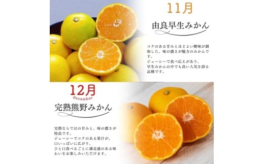 【全4回】仲森農園の柑橘定期便 合計4種 20kg 【超極早生温州「みえ紀南一号」・極早生温州・由良早生・早生温州「完熟熊野みかん」】 みかん ミカン 蜜柑 温州みかん 温州ミカン 柑橘 みかん定期便 フルーツ定期便 果物定期便 柑橘定期便 フルーツ 果物 くだもの 甘い 旬 人気 産地直送 三重県 熊野市【nkmr-tkb0004】