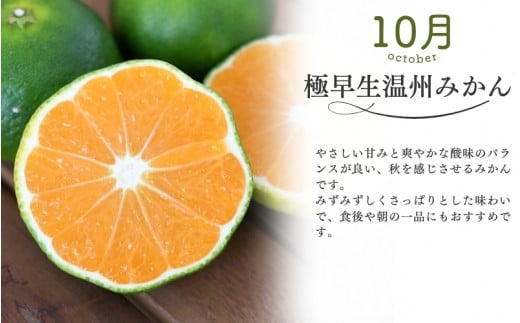 【全3回】仲森農園の柑橘定期便 合計3種 9kg 【超極早生温州「みえ紀南一号」・極早生温州・早生温州「完熟熊野みかん」】 みかん ミカン 蜜柑 温州みかん 温州ミカン 柑橘 みかん定期便 フルーツ定期便 果物定期便 柑橘定期便 フルーツ 果物 くだもの 甘い 旬 人気 産地直送 三重県 熊野市【nkmr-tkb0015】