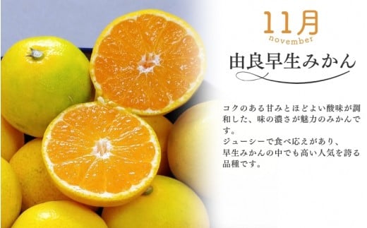 【全3回】仲森農園の柑橘定期便 合計3種 9kg 【超極早生温州「みえ紀南一号」・由良早生・早生温州「完熟熊野みかん」】 みかん ミカン 蜜柑 温州みかん 温州ミカン 柑橘 みかん定期便 フルーツ定期便 果物定期便 柑橘定期便 フルーツ 果物 くだもの 甘い 旬 人気 産地直送 三重県 熊野市【nkmr-tkb0019】