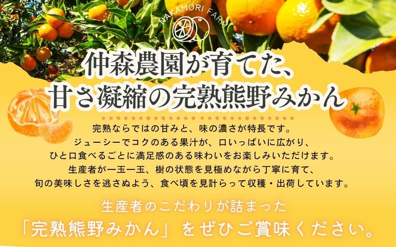 仲森農園の完熟熊野みかん 3kg【11月下旬から12月下旬に発送】みかん ミカン 温州みかん【nkmr0009】