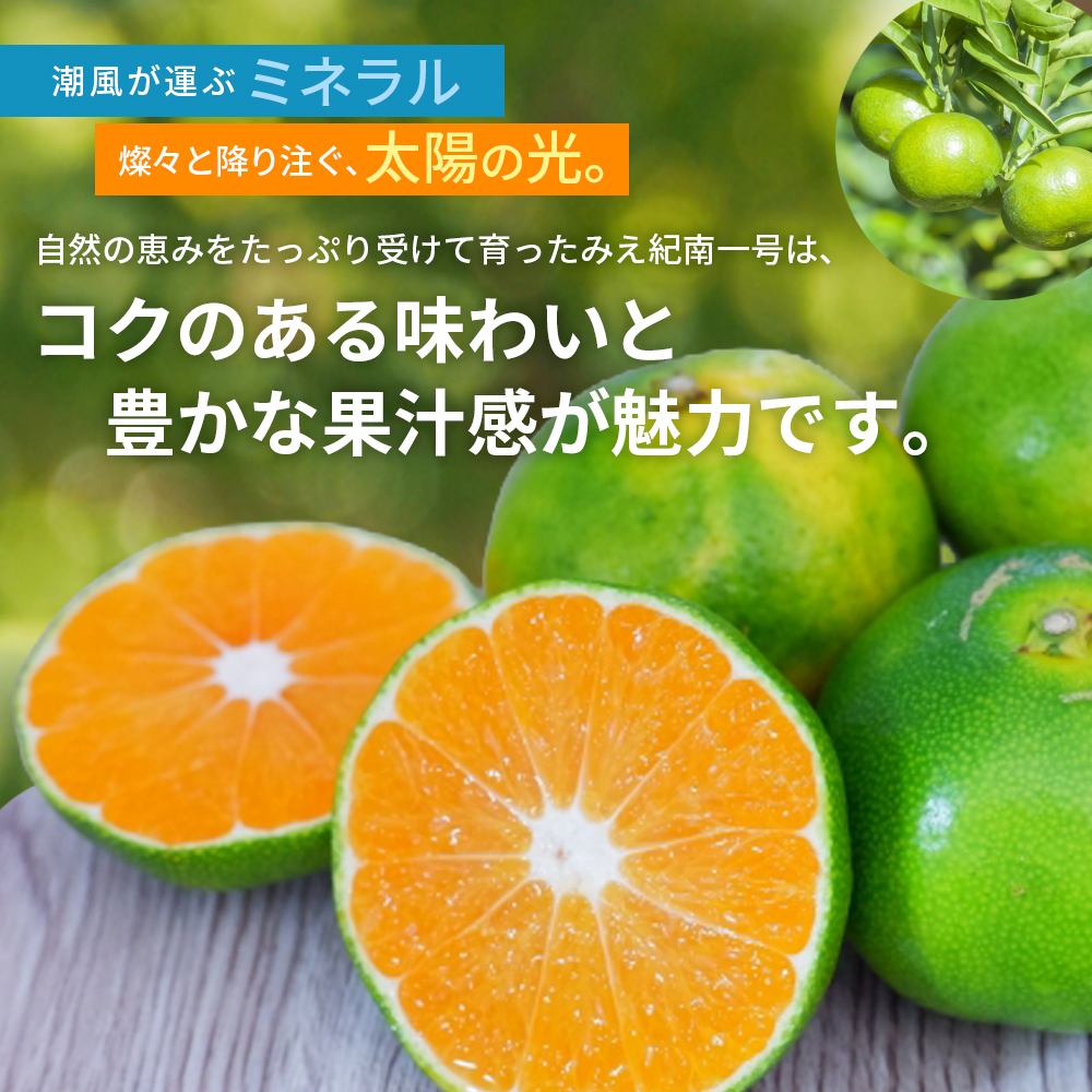 仲森農園の超極早生温州みかん みえ紀南一号 約10kg みかん ミカン 蜜柑 温州みかん 温州ミカン 柑橘 フルーツ 果物 くだもの 甘い 旬 数量限定 期間限定 産地直送 三重県 熊野市【2026年9月上旬頃～9月下旬頃に順次発送】【nkmr0014】