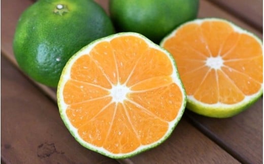 仲森農園の極早生温州みかん 約5kg みかん ミカン 蜜柑 温州みかん 温州ミカン 柑橘 フルーツ 果物 くだもの 甘い 旬 数量限定 期間限定 産地直送 10000円 三重県 熊野市【2026年9月下旬頃～10月下旬頃に順次発送】【nkmr0016】