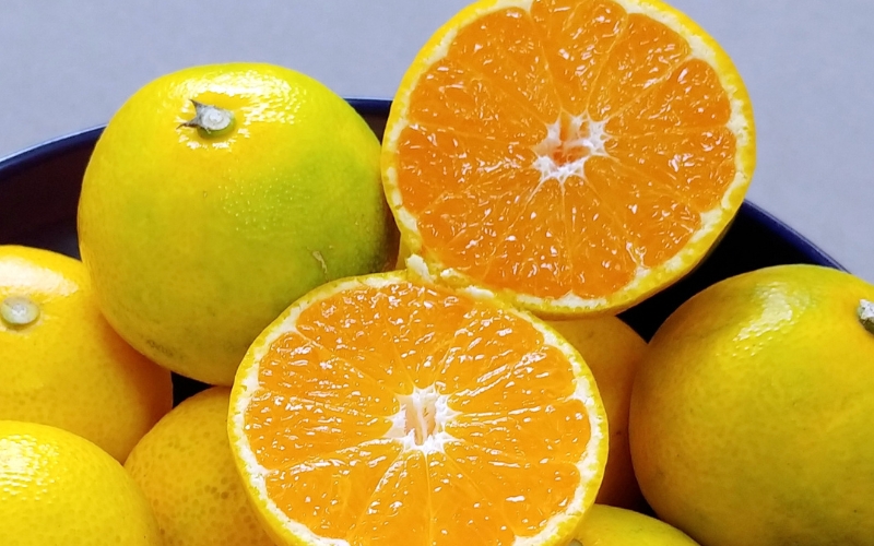 仲森農園の由良早生みかん 約7kg みかん ミカン 蜜柑 温州みかん 温州ミカン 柑橘 フルーツ 果物 くだもの 早生 甘い 旬 希少 数量限定 期間限定 産地直送 三重県 熊野市【2026年11月上旬頃～11月中旬頃に順次発送】【nkmr0021】