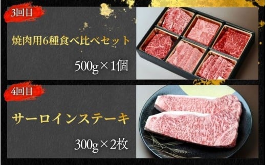 【全4回】美熊野牛 定期便D ＜すき焼きしゃぶしゃぶ用ロース＆赤身モモ肉 800g・切り落とし 800g・焼肉用6種食べ比べ 500ｇ・サーロインステーキ 300g×2枚＞  牛肉 肉 ブランド牛 和牛 黒毛和牛 国産牛 すき焼き しゃぶしゃぶ 赤身 赤身肉 焼肉 ステーキ サーロイン 肉定期便 人気 希少 おすすめ 三重県 熊野市【okad-tkb0022】