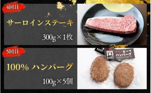 【全5回】美熊野牛 定期便A ＜すき焼きしゃぶしゃぶ用ロース＆赤身モモ肉 400g・切り落とし 400g・焼肉用6種食べ比べ 500ｇ・サーロインステーキ 300g×1枚・100％ハンバーグ 100g×5個＞  牛肉 肉 ブランド牛 和牛 黒毛和牛 国産牛 すき焼き しゃぶしゃぶ 赤身肉 焼肉 ステーキ サーロイン ハンバーグ 惣菜 肉定期便 人気 三重県 熊野市【okad-tkb0023】