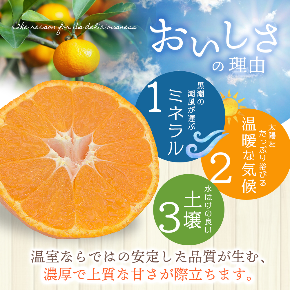 【数量限定】仲森農園の温室みかん 2.5kg 【2026年7月より順次発送予定（お届け日指定不可）】【nkmr0001】
