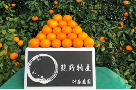 仲森農園の完熟熊野みかん 7kg【11月下旬から12月下旬に発送】みかん ミカン 温州みかん【nkmr0006A】