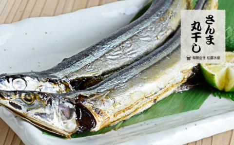 干物 詰め合わせ 6種 16点 干物 ひもの 食べ比べ あじ開き さんま開き かます開き さんまみりん干 さんま丸干 いか一夜干し 松屋水産 三重県熊野市【mtys0002】