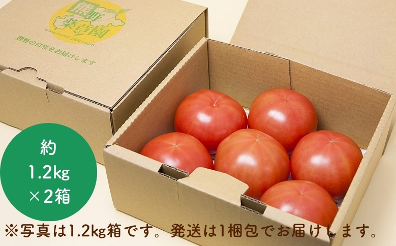 【2026年1月以降配送】熊野薬草園の大玉トマト（1.2kg×2箱） トマト 大玉トマト 熊野 予約受付【kmys0006】