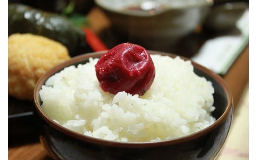 梅干し 南高梅 無添加 小分けタイプ 昔ながらのすっぱい しそ漬け梅干し 110g×5【frsn0003】