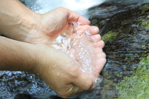 【小分けで便利！】 熊野地鶏 肝セット 1㎏以上 (230g前後×5P) 肉 鶏肉 鳥肉 とり肉 地鶏 肝 鳥肝 レバー 焼き鳥 焼鳥 炭火焼鳥 炭火焼き 串焼き 惣菜 おかず おつまみ 晩酌 小分けパック 国産 名古屋コーチン 伊勢赤どり 三重県 熊野市 【frsn0027】