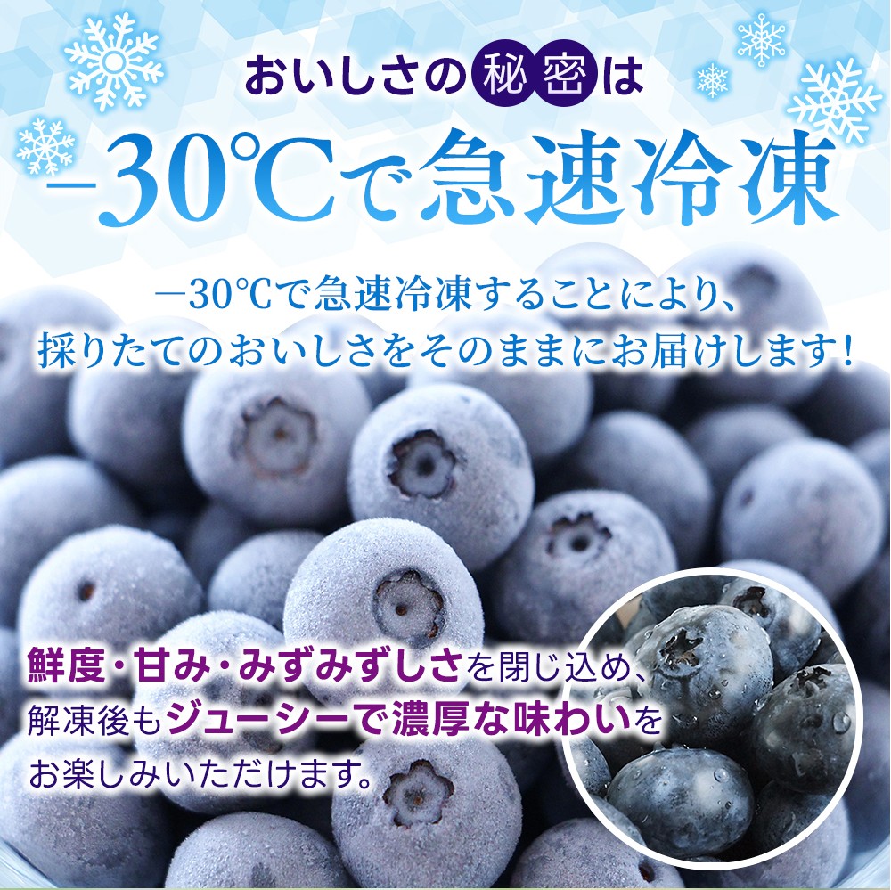 冷凍 ブルーベリー 3kg 急速冷凍 フルーツ 果物 くだもの スムージー ジャム 朝食 デザート 特産品 人気 国産 旬 金山パイロットファーム 三重県 熊野市【knpr0011A】