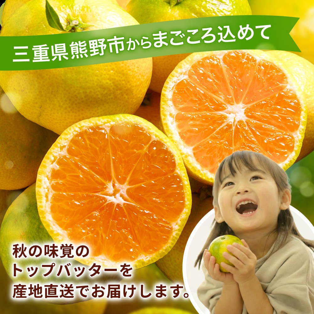 みかん 金山パイロットファームの 温州みかん 5㎏ 極早生(青切り) みかん ミカン 温州みかん 極早生 極早生みかん フルーツ 果物 くだもの 柑橘 産地直送 数量限定 人気 国産 三重県 熊野市【knpr0012A】