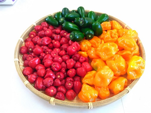 <テレビで紹介されました> 【熊野唐辛子】ハバネロ 粉末 500g 希少 国産唐辛子【kmng0001】