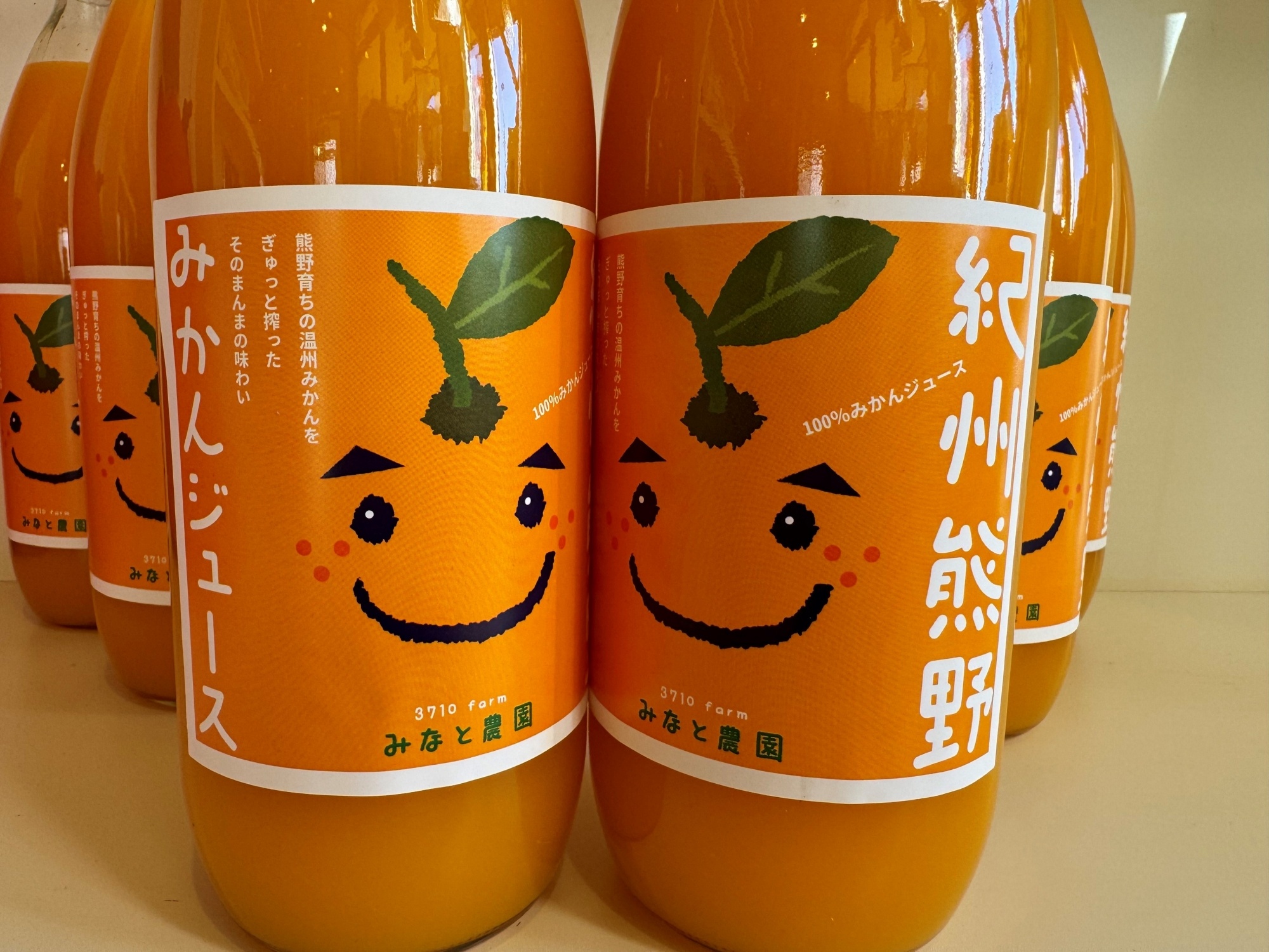 湊農園のみかん搾っただけ！【紀州熊野みかんジュース】1000ml×12本　段ボール箱【2025年12月以降順次発送予定】【kmkn0090】