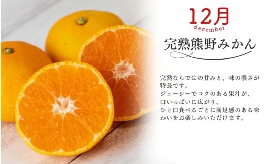 【全3回】仲森農園の柑橘定期便 合計3種 30kg 【超極早生温州「みえ紀南一号」・極早生温州・早生温州「完熟熊野みかん」】 みかん ミカン 蜜柑 温州みかん 温州ミカン 柑橘 みかん定期便 フルーツ定期便 果物定期便 柑橘定期便 フルーツ 果物 くだもの 甘い 旬 人気 産地直送 三重県 熊野市【nkmr-tkb0018】