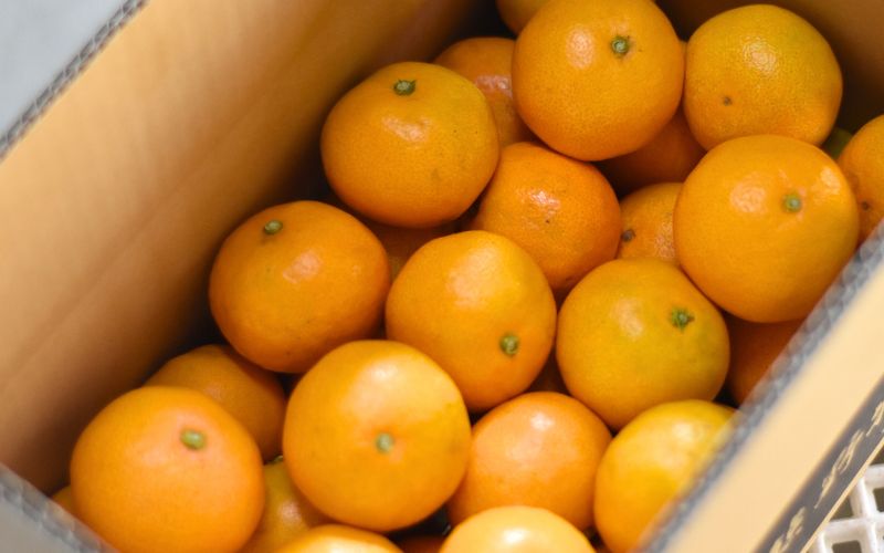 仲森農園の完熟熊野みかん 3kg【11月下旬から12月下旬に発送】みかん ミカン 温州みかん【nkmr0009】