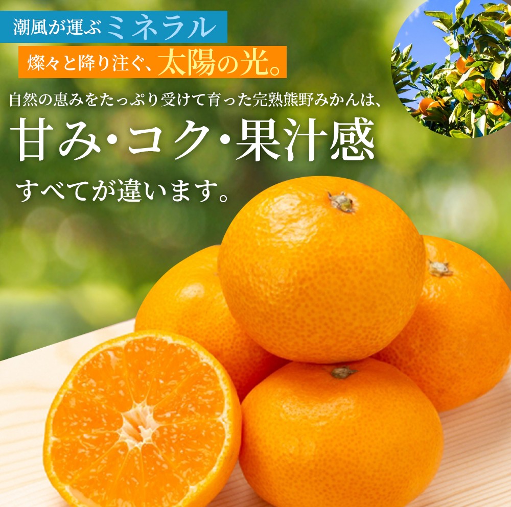 仲森農園の完熟熊野みかん 5kg【11月下旬から12月下旬に発送】みかん ミカン 温州みかん【nkmr0010】