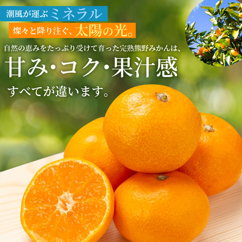 仲森農園の完熟熊野みかん 5kg【11月下旬から12月下旬に発送】みかん ミカン 温州みかん【nkmr0010】
