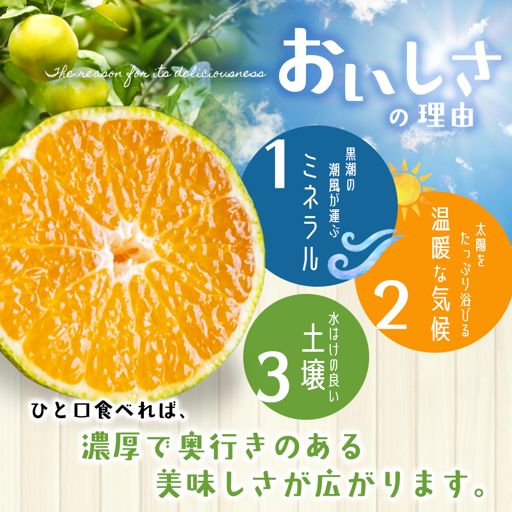 仲森農園の超極早生温州みかん みえ紀南一号 約5kg みかん ミカン 蜜柑 温州みかん 温州ミカン 柑橘 フルーツ 果物 くだもの 甘い 旬 数量限定 期間限定 産地直送 三重県 熊野市【2026年9月上旬頃～9月下旬頃に順次発送】【nkmr0012】