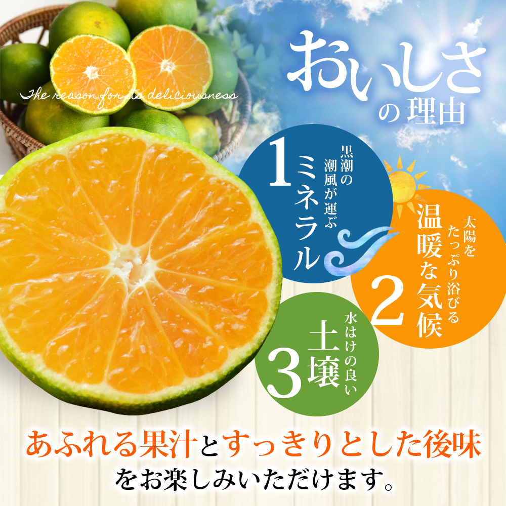 仲森農園の極早生温州みかん 約10kg みかん ミカン 蜜柑 温州みかん 温州ミカン 柑橘 フルーツ 果物 くだもの 甘い 旬 数量限定 期間限定 産地直送 10000円 三重県 熊野市【2026年9月下旬頃～10月下旬頃に順次発送】【nkmr0018】