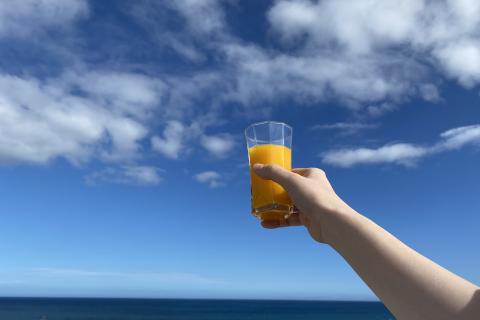 完熟 温州みかん 使用！ 無添加 ストレートジュース マルチ ･ レギュラー 2種セット 720ml × 6本 ( 各3本 段ボール箱 )　温州 みかん 100% オレンジジュース  ご自宅用 子供 三重県 熊野市【kmkn0207】