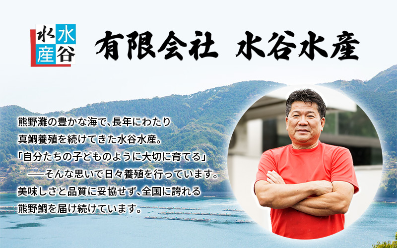 <テレビで紹介されました> 配送日指定可 新姫 熊野鯛 お刺身用短冊 アラ付き 一匹 【冷蔵】 鯛 タイ 刺身 お刺身 さしみ 真空 海鮮 魚介 鮮魚 養殖 寿司 お寿司 しゃぶしゃぶ 鯛しゃぶ 柵 短冊 お食い初め お祝い 祝い 水谷水産 三重県 熊野市【mzsi0003-1】
